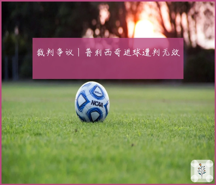 裁判争议丨普利西奇进球遭判无效