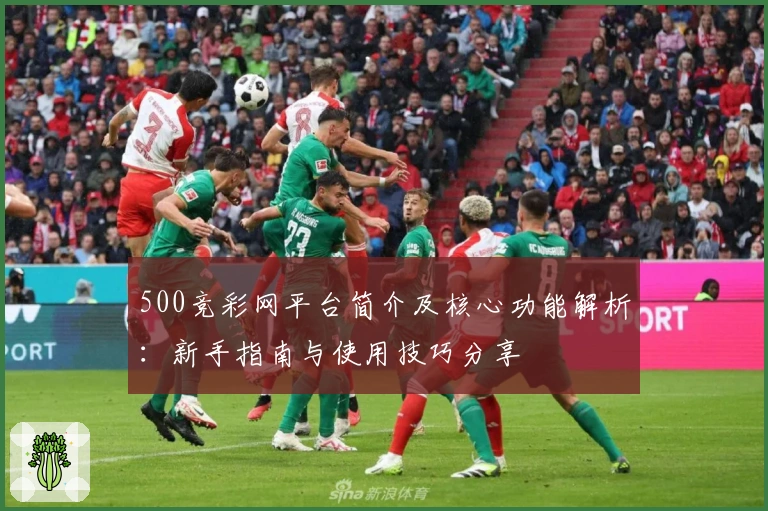 500竞彩网平台简介及核心功能解析：新手指南与使用技巧分享