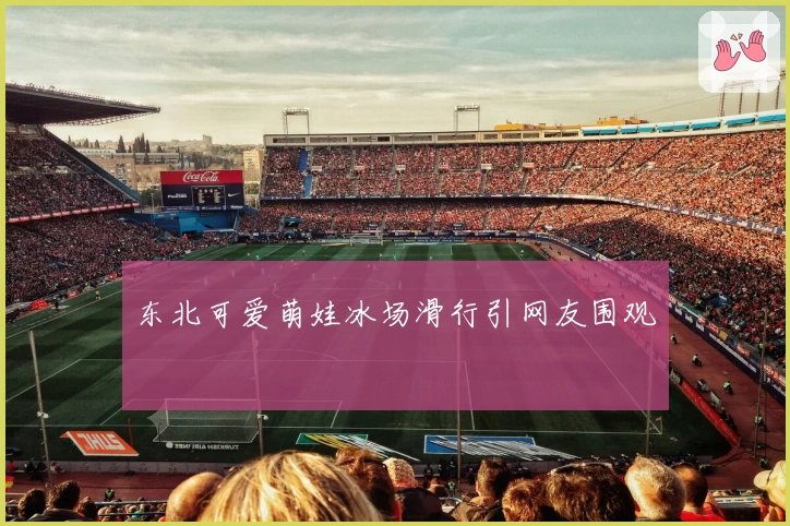 东北可爱萌娃冰场滑行引网友围观