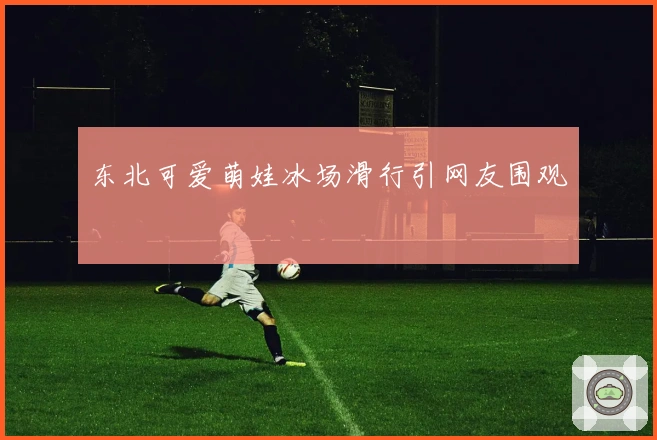 东北可爱萌娃冰场滑行引网友围观